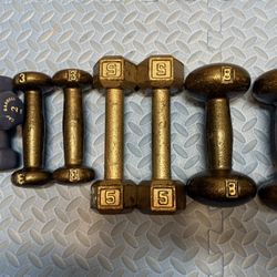 Variety Weighted Dumbbells