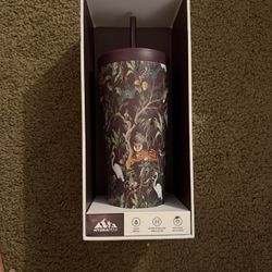 hydrapeak water bottle 