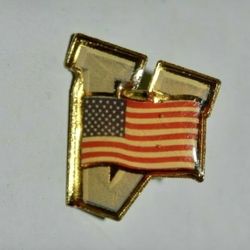 Nice United States of America USA Flag V Victory Lapel Pin