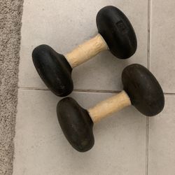 Two 20 Pound Weights/Dumbells