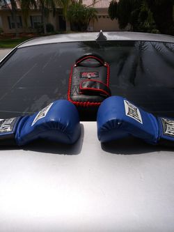 Boxing Gloves and UFC Punching Hand-Pad Thumbnail