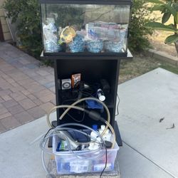 Fish Tank With Custom Built Stand And All Water Chemicals And Pebbles And Decorative Tank Statues