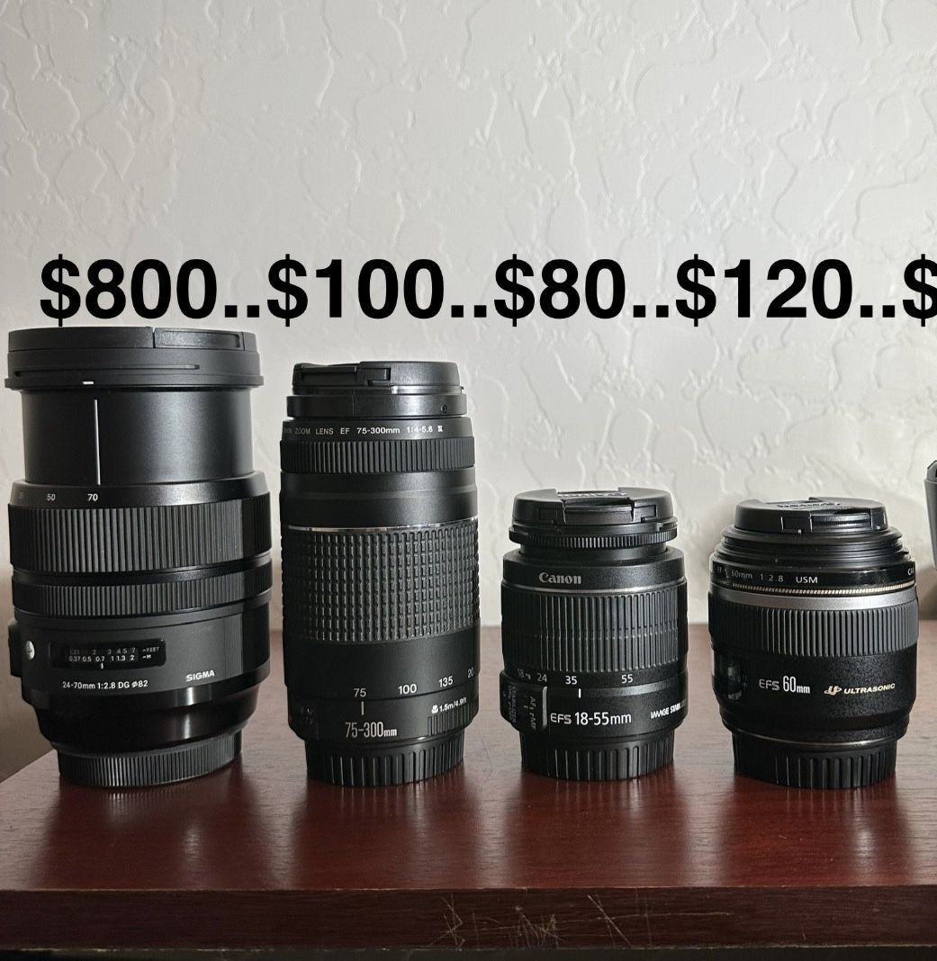 Canon And Sigma Lenses For Canon Cameras 