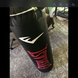 Punching Bag Everlast Punching Bag