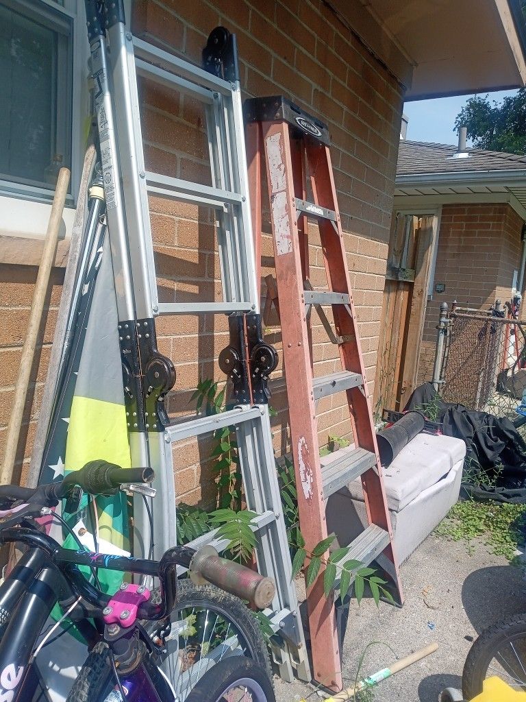 ladders . little giant