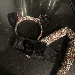 Chetaah Accessories 