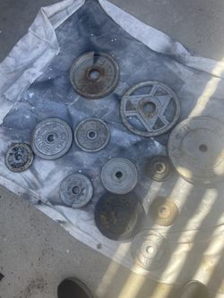 Weight Plates. Free