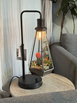 🌿 **Custom Illuminated Terrarium Lamp – Original Art by François** 🌿