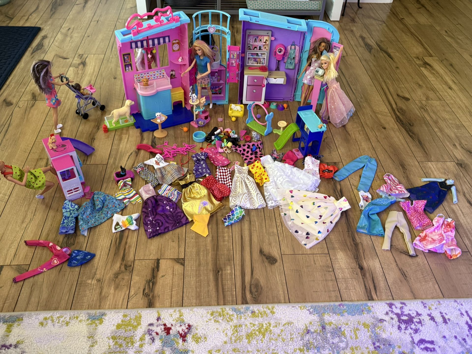 Barbie Pet Spa, Cars, Clothes, Accessories