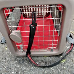 A Cat Carrier