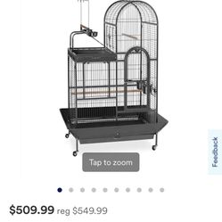 Bird Cage