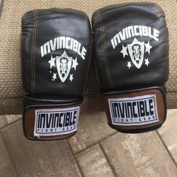 Invincible All Leather Gloves