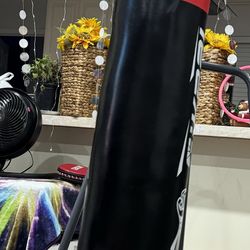 punching bag
