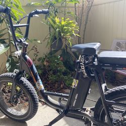 Roadrunner Plus Electric Cargo Utility Bike