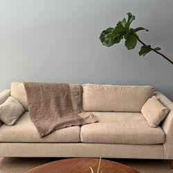 Crate & Barrel Couch