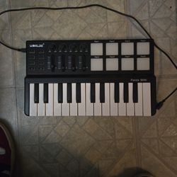 Worlde Panda Mini Portable Mini 25 Key USB Keyboard And Drumpad Midi Controller