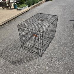 Large Dog Crate