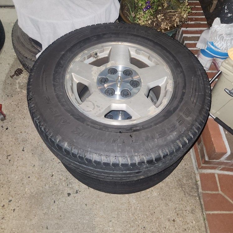 Desert Hawk A/P 2 Tires
