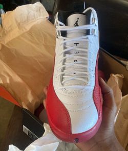 Jordan 12 Size 11 Men