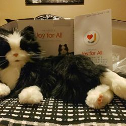 Robotic Black and White Cat