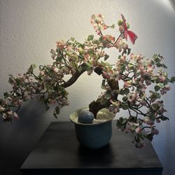Jasmin Tree 