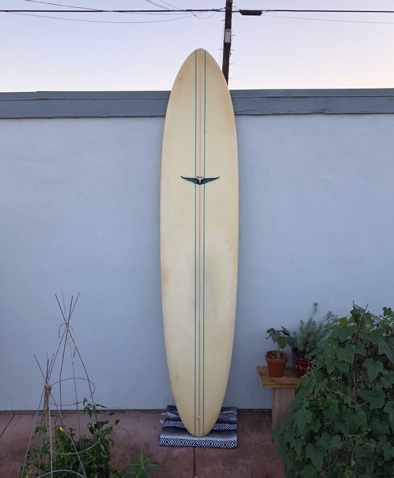 9ft Egg longboard surfboard - Skip Frye for Sale in San
