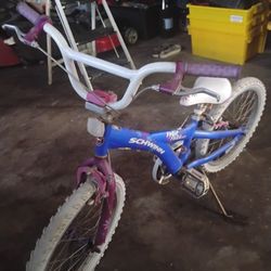 Schwinn Kids Bike For Sale