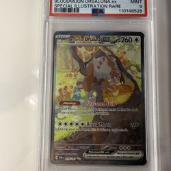 Bloodmoon Ursaluna ex - 216/167 - SV06: Twilight Masquerade (TWM)
