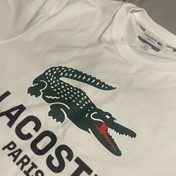 lacoste shirt