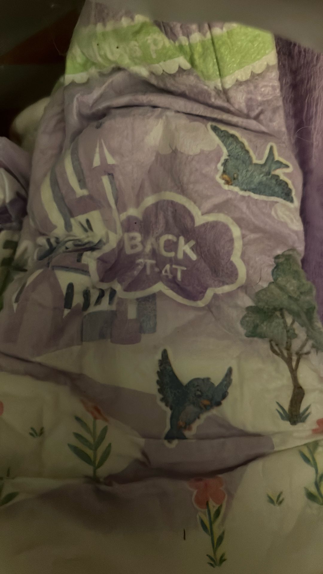 Free Pull Up Girls 3t-4t