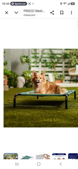 Elevated green pet bed