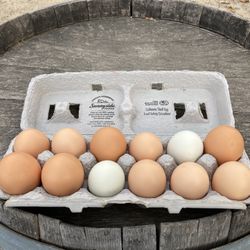Fresh Organic Eggs -   $ 6  Per Dozen  - DELIVERED  Inside  Ripon City  Limits