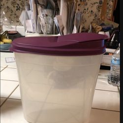 Tupperware Storage Container 