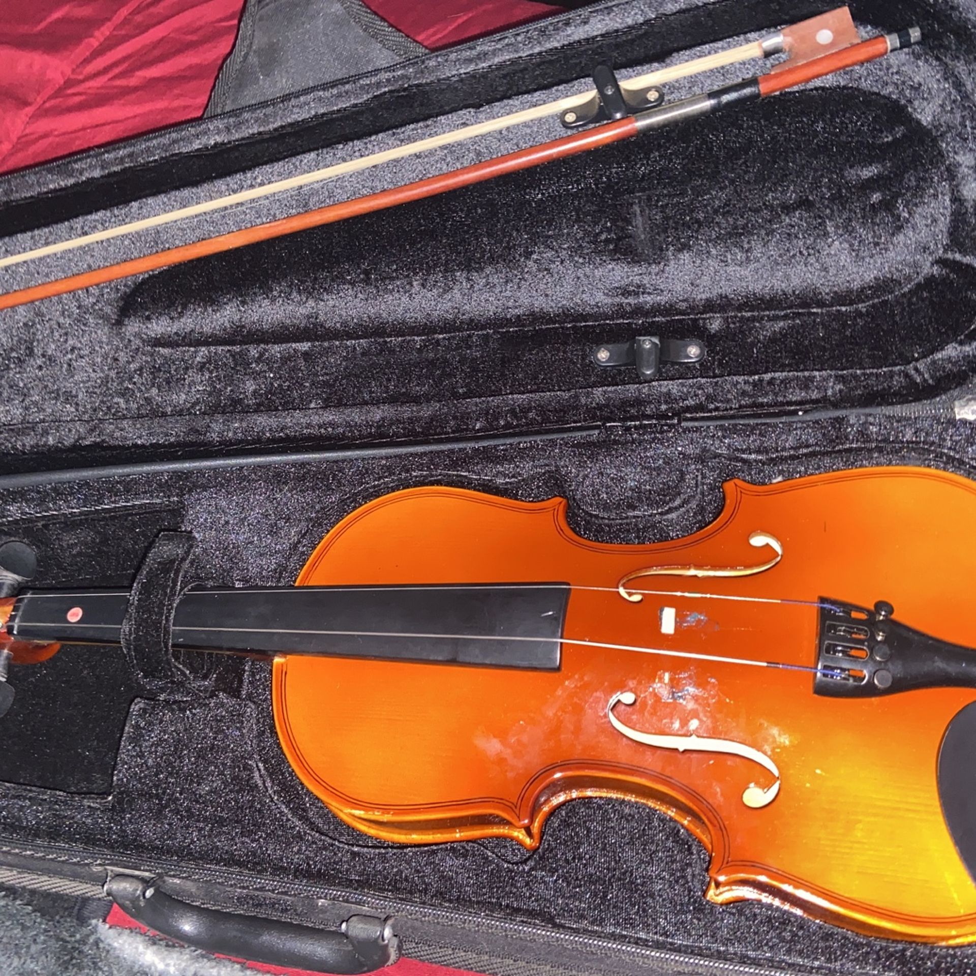 Violin 