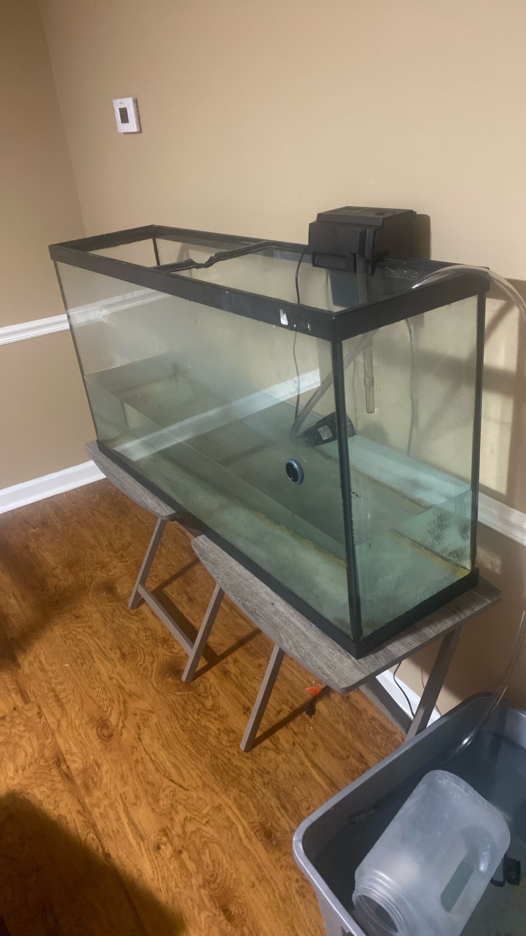 40 Gallon Tank
