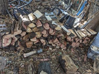 Season Firewood 