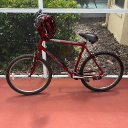 Raleigh M40 Large Mountain Bike