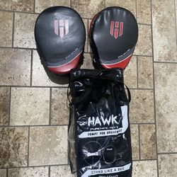 boxing pads