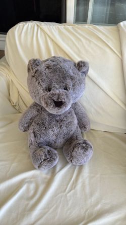 Teddy bear