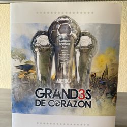 Libro Del Tricampeonato Del America