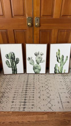 Cactus pictures (3)