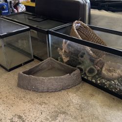 reptile tanks 