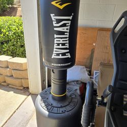 Everlast Power Core Punching Bag