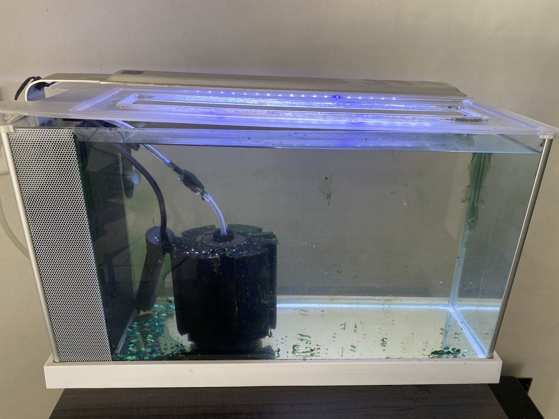 5 Gallons Small Fish Tank