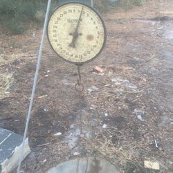 Antique Hanson Dairy Scales W/ Hanging Tray