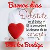 Neida