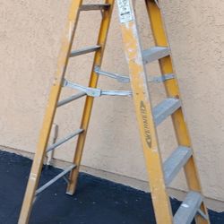 Werner Electro Master