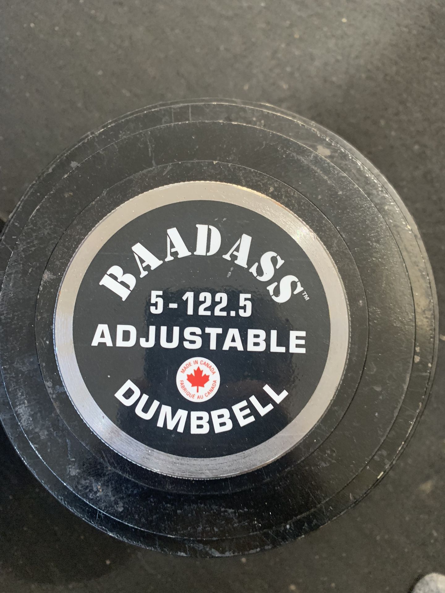 Adjustable Dumbbells