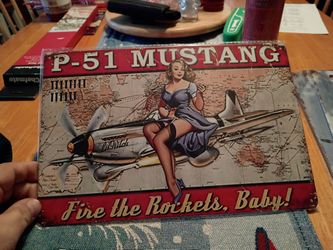 Metal Tin Signs 