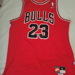 Jordan Nike Jersey Large